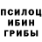 Галлюциногенные грибы GOLDEN TEACHER AlexPassalides