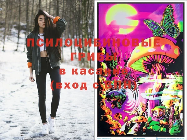 прущая мука Бородино