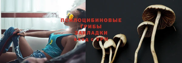 дмт Бронницы