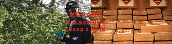 прущая мука Бородино