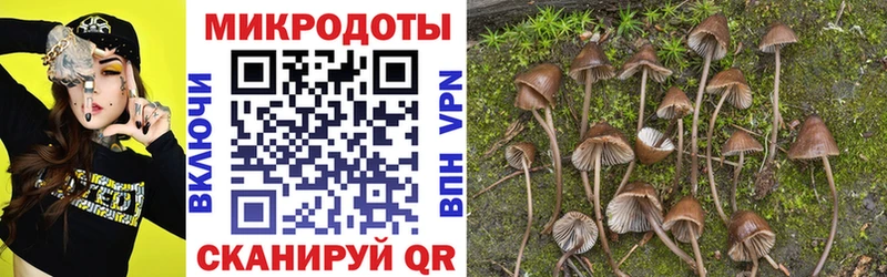 Псилоцибиновые грибы мицелий  Плёс 